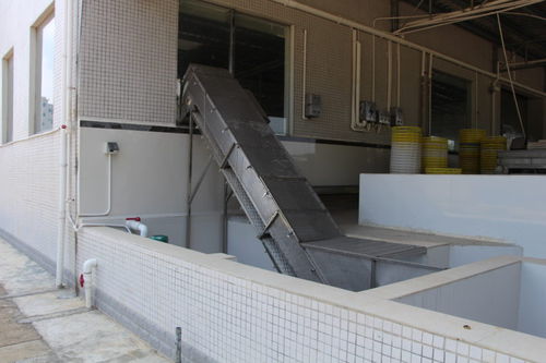 Trasportatore a nastro - ZD-YL 3500 - Shrimp Machine - a nastro a rete / elevabile / per pesce