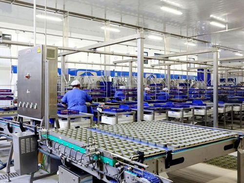 Sistema di alimentazione per lattine - Hermasa - Cannin Technology - per recipienti vuoti