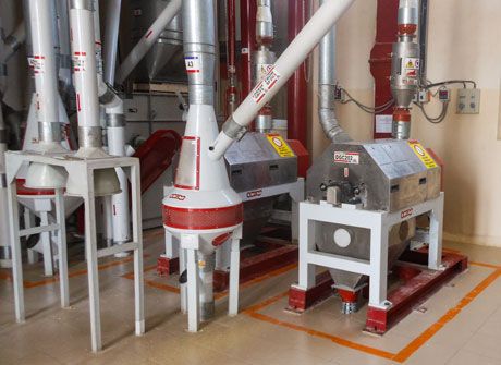 Linea di produzione per cereali - OCRIM - per l'industria agroalimentare