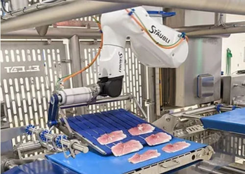 Robot articolato - ELCAT FOOD TECHNOLOGY - pick and place / di carico / di riempimento