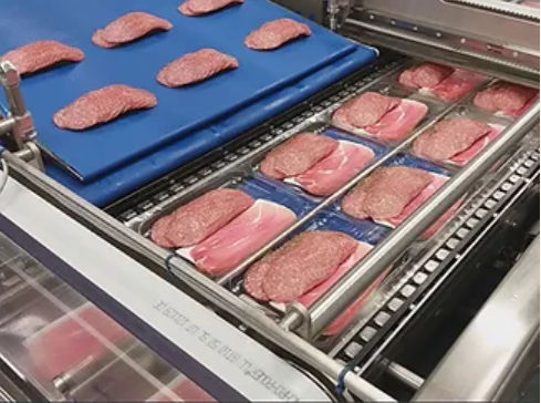 Invaschettatrice orizzontale - ELCAT FOOD TECHNOLOGY - automatica / per formaggi / per carne
