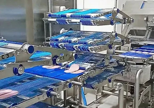 Macchina per imballaggio per ricoprimento - ELCAT FOOD TECHNOLOGY - automatica / a moto continuo / per alimenti