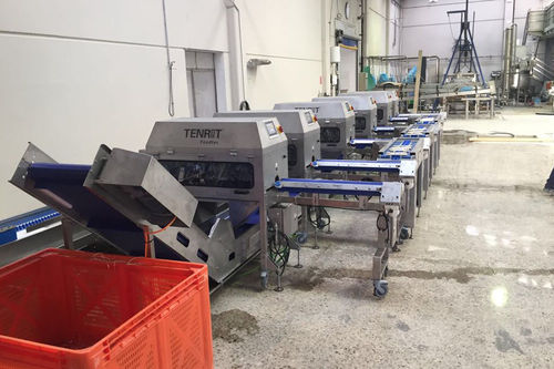 Linea di pelatura per asparagi - TENRIT Foodtec Maschinenbau GmbH