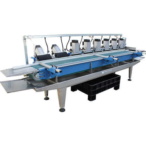 Profilatrice per profilati - MPM/8 - Ferrari & Cigarini srl - per piastrelle smaltate / automatica / controllata da PLC