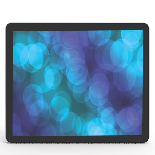 Panel PC TFT LCD - DS120E - Shenzhen ZhengYuanTai Technology,Co,.Ltd. - con retroilluminazione a LED / con touchs creen capacitivo PCAP / 12.1"
