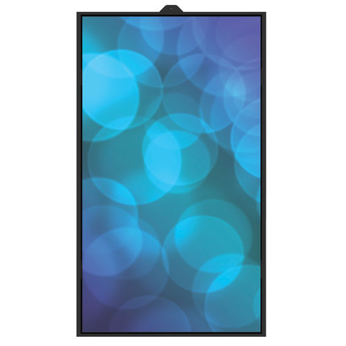 Display TFT LCD - DS650HB - Shenzhen ZhengYuanTai Technology,Co,.Ltd. - 1920 x 1080 / 65" / HDMI