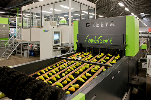 Macchina di smistamento per l'industria agroalimentare - COMBISORT - Greefa - automatica / per frutta / per verdura