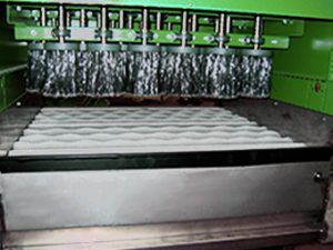 Linea di trasformazione per verdure - Greefa