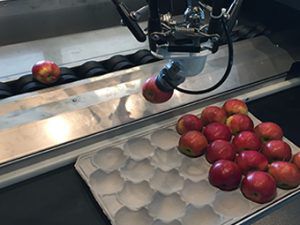 Linea di imballaggio per multiprodotti - Greefa - automatica