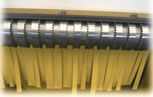 Taglierina per pasta fresca - Food Tech S.r.l. - automatica