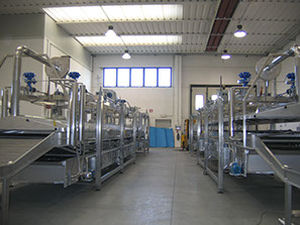 Cuocitore industriale continuo - Food Tech S.r.l. - per pasta / con linea di raffreddamento / a immersione