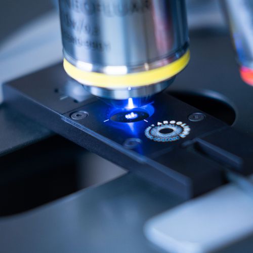 Vetrino per microscopio di calibrazione - Argo-POWER LM V2 - Argolight - a fluorescenza