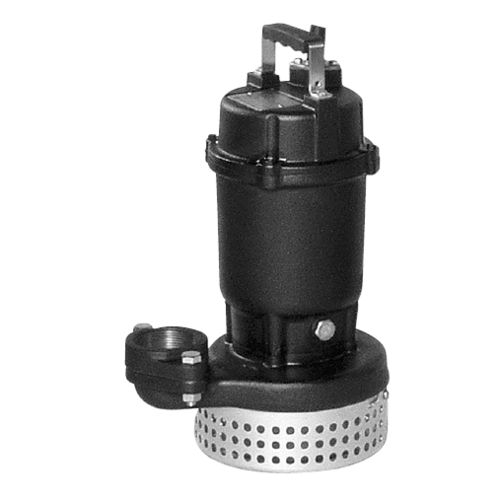 Pompa centrifuga - DS - EBARA PUMPS EUROPE - per acqua chiara / sommersa / fissa