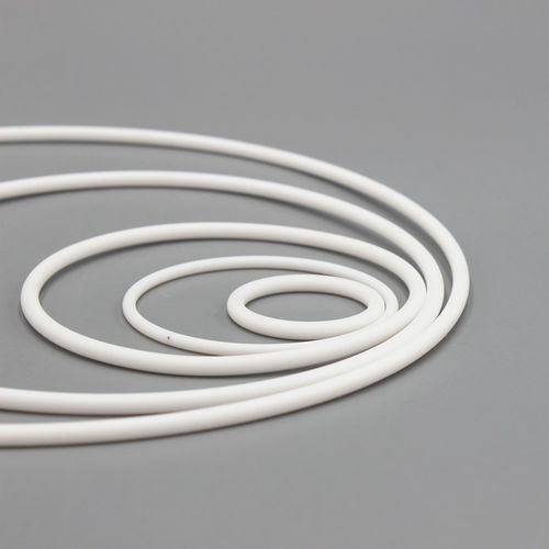 Guarnizione torica - Dytron Advanced Materials Co., ltd - PTFE