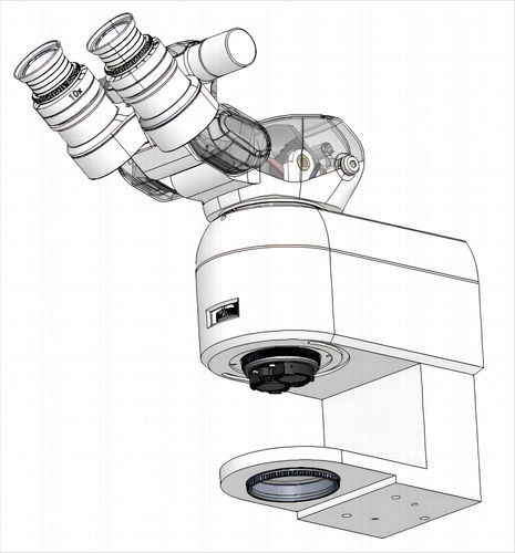 Microscopio ottico - Fujian RISING EO Technologies CO.,LTD - medico / binoculare / con zoom