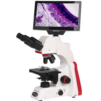 Microscopio digitale - BMC100 - Phenix Optics Co., Ltd - industriale / medico / da tavolo