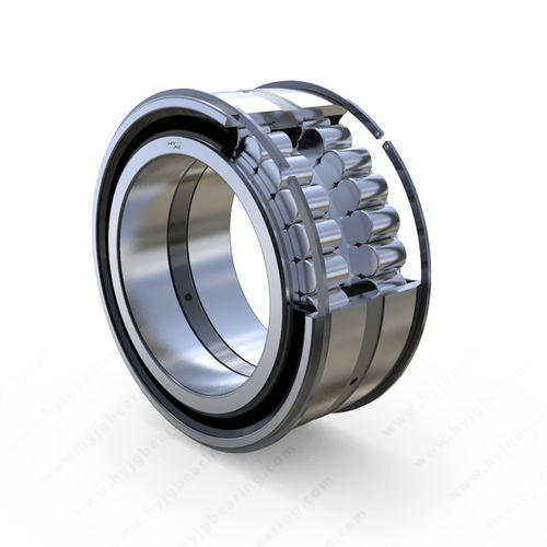 Cuscinetto a rulli cilindrici - SL045005PP - Dalian Huayang Jinggong Bearing Manufacturing Co., LTD - a due corone / in acciaio / per il settore industriale