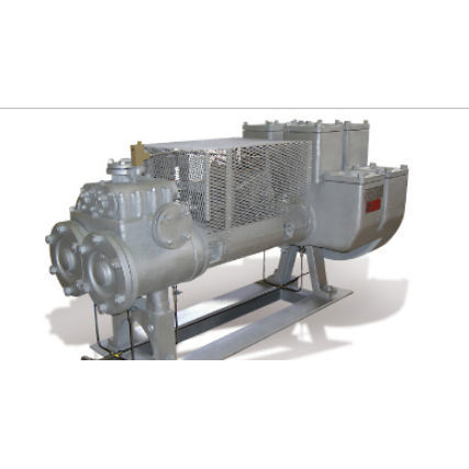 Pompa alternativa - Vesuvio 42.00 - Peroni Pompe - per petrolio / per idrocarburi / ad aria