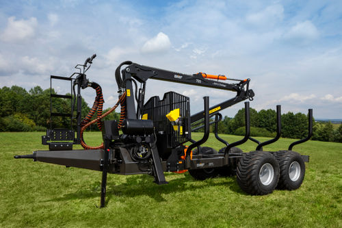 Rimorchio per legna - BMF 10T2 - BMF - tandem / trainato / forestale