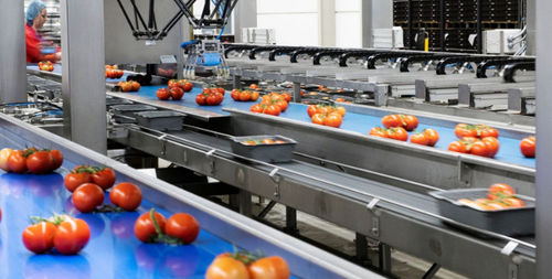 Macchina di smistamento ottica - Koppert Machines & Zonen B.V. - automatizzata / per pomodori / robotizzata
