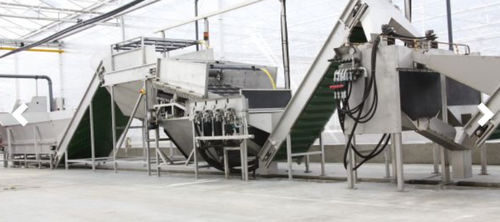 Linea di movimentazione per l'industria agroalimentare - Koppert Machines & Zonen B.V. - automatica / ad alta produttività