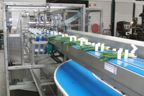 Linea di trasformazione per verdure - Koppert Machines & Zonen B.V.