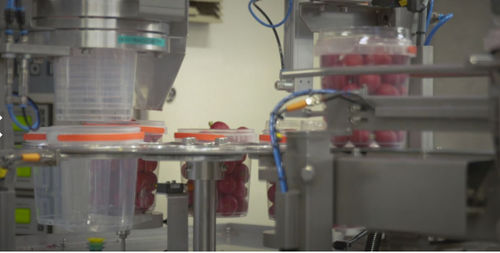 Macchina di riempimento automatica - Koppert Machines & Zonen B.V. - per bicchieri / per prodotti alimentari / per l'industria agroalimentare