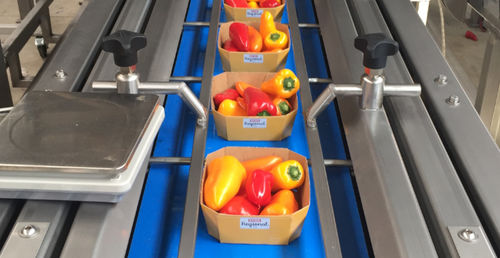 Macchina di confezionamento automatica - Koppert Machines & Zonen B.V. - a moto continuo / in linea / per alimenti