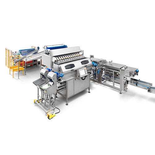 Pesatrice lineare - CALIBRA WEIGHER.F12 - CALIBRAFRUTA LDA - elettronica / per l'industria agroalimentare / in acciaio inossidabile