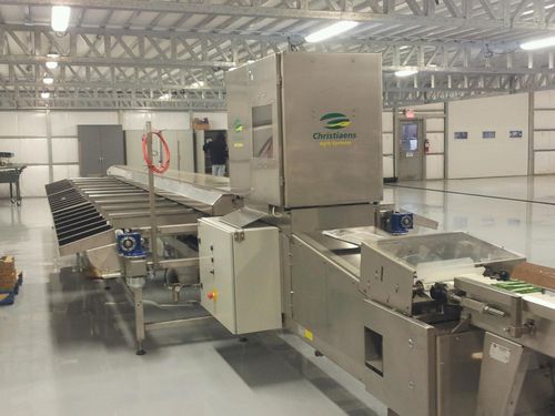 Calibratore per cetrioli - Christiaens Agro Systems B.V