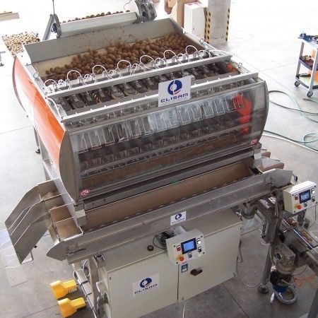 Pesatrice multitesta - Elisam s.r.l. - per verdure / con alimentatore a nastro / automatica