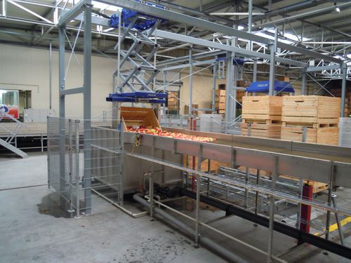 Lavatrice agroalimentare per mele - Elisam s.r.l. - a immersione