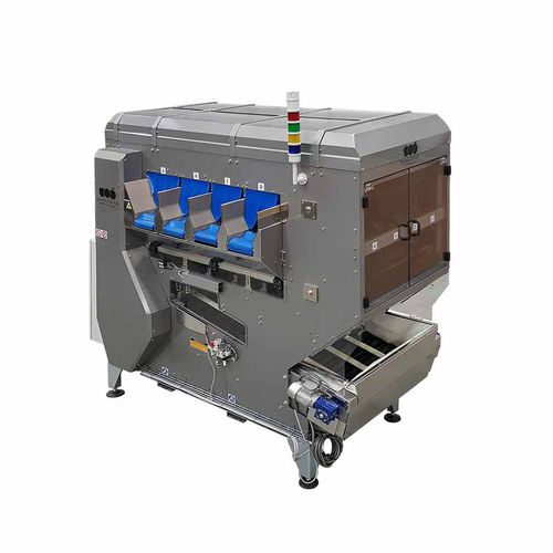 Pesatrice per agrumi - WD4S-125 - Sorma S.p.A. - dinamica / elettronica / con alimentatore vibrante