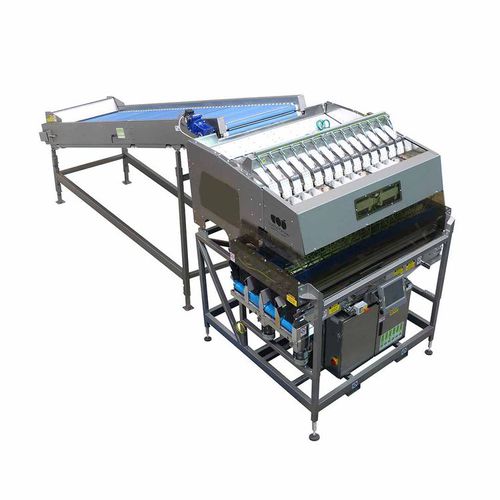 Pesatrice elettronica - W series - Sorma S.p.A. - per aglio / per frutta / per pomodori