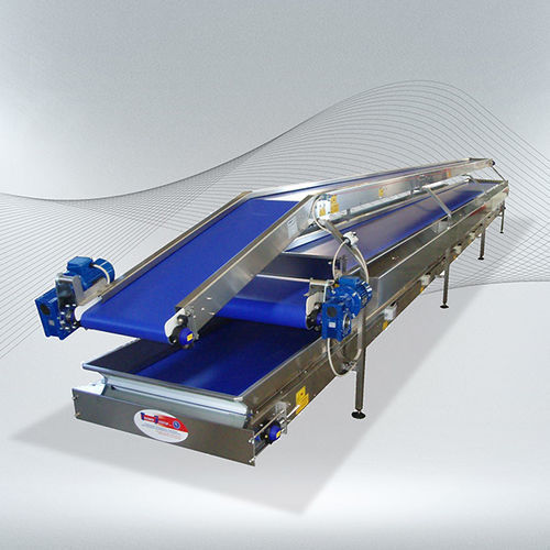 Linea di trasformazione per verdure - Tecnofrutta s.r.l.