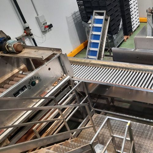 Linea di trasformazione per patate - Alutec Food CAMPESATO®
