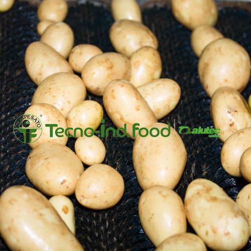 Linea di trasformazione per patate - Alutec Food CAMPESATO® - di lavaggio / per cernita