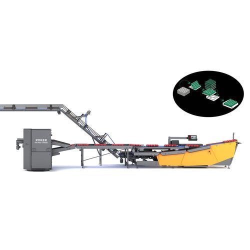 Linea di imballaggio per l'industria agroalimentare - Poker - FRUTMAC SRL - per prodotti alimentari / di vassoi / per scatole