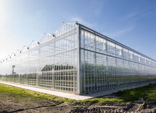 Lastra di vetro - Gakon Horticultural Projects BV