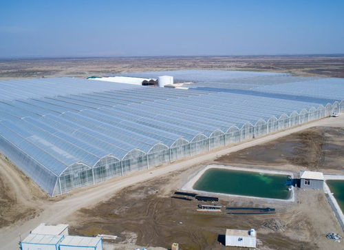 Piastra di polietilene - Gakon Horticultural Projects BV