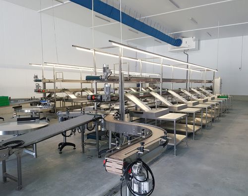 Linea di imballaggio per l'industria agroalimentare - GAMACO S.r.l. - per multiprodotti