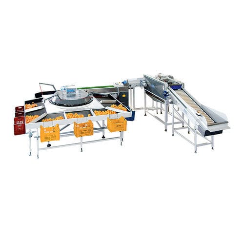 Macchina di smistamento per l'industria agroalimentare - ICOEL S.r.l. - automatica / per frutta / rotativa