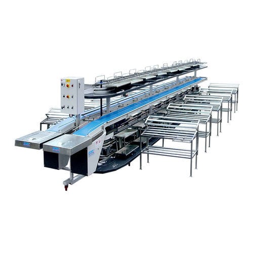 Macchina di confezionamento automatica - ICOEL S.r.l. - orizzontale / per alimenti / per l'industria agroalimentare