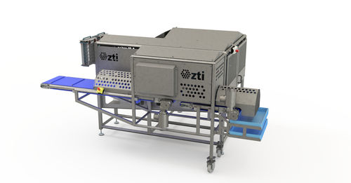 Cubettatrice per frutta - ZTI smart machines - in acciaio inossidabile