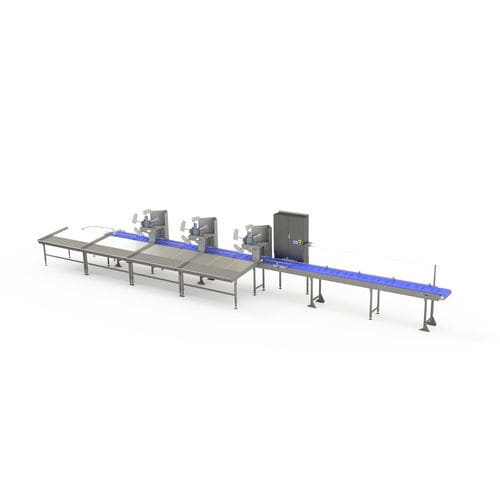 Sistema di smistamento per l'industria agroalimentare - ZTI smart machines - a nastro