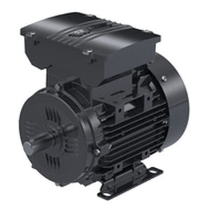 Motore ad induzione - 2MD090 series - ELK Motor - monofase / 220 V / IP55