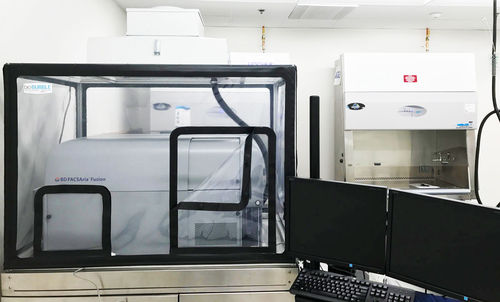 Isolatore di confinamento classe II - BIO BUBBLE