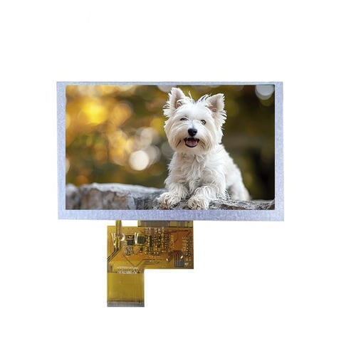 Modulo di visualizzazione TFT LCD - LN80480T050IA9098 - Beijing DWIN Technology Co., Ltd. - IPS / con touch screen capacitativo / con touch screen resistivo