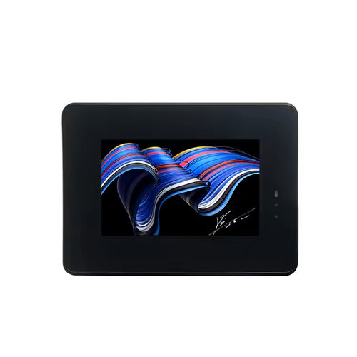 Modulo di visualizzazione TFT LCD - HDW043_A5001L - Beijing DWIN Technology Co., Ltd. - IPS / con touch screen capacitativo / con touch screen multitouch