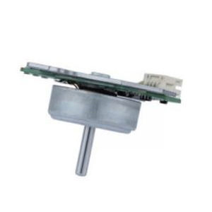 Motore BLCD - BLDC – 2 - IPC - DC / 12 V / piccolo